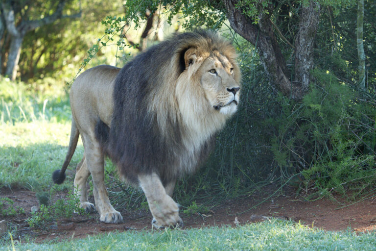 Tsar and Jamil - 2 years on