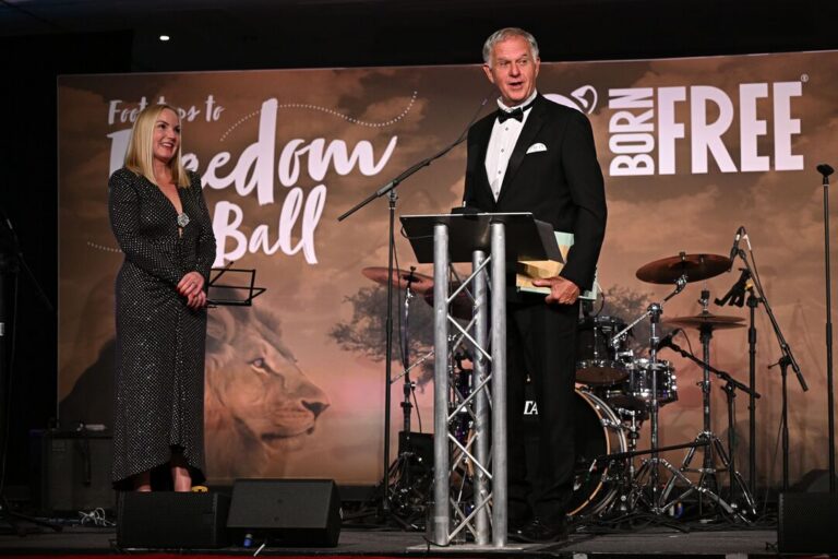 Footsteps to Freedom in pictures