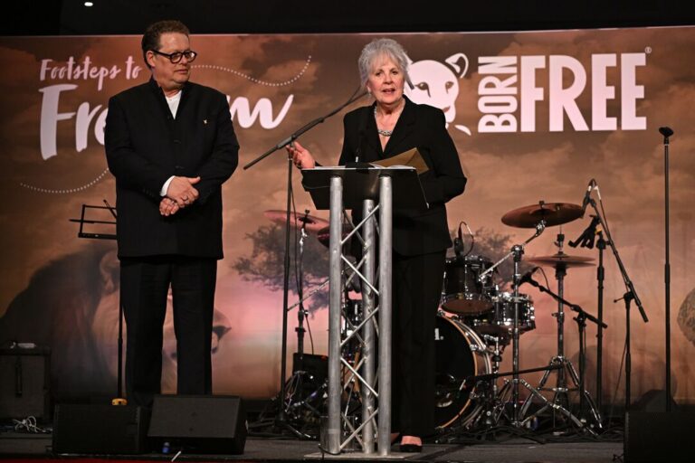 Footsteps to Freedom in pictures