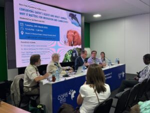 Photograph of a panel discussion at COP15 Brazil 2022 focused on conserving Earth's oldest and wisest animal, highlighting migration and connectivity. Panelists sit behind a table with microphones and laptops, while a large screen displays event details, including date, time, location, and images of an elephant, turtle, and gorilla.