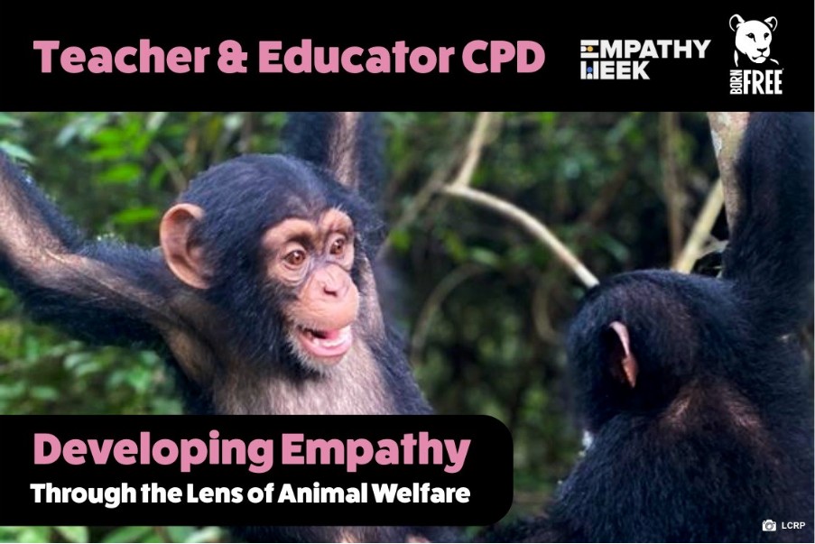 Photograph showing two chimpanzees interacting in a natural, green forest setting, used as a promotional visual for a Teacher & Educator CPD program focused on developing empathy through animal welfare. Text overlays include 