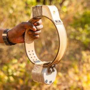 A satellite collar for lions
