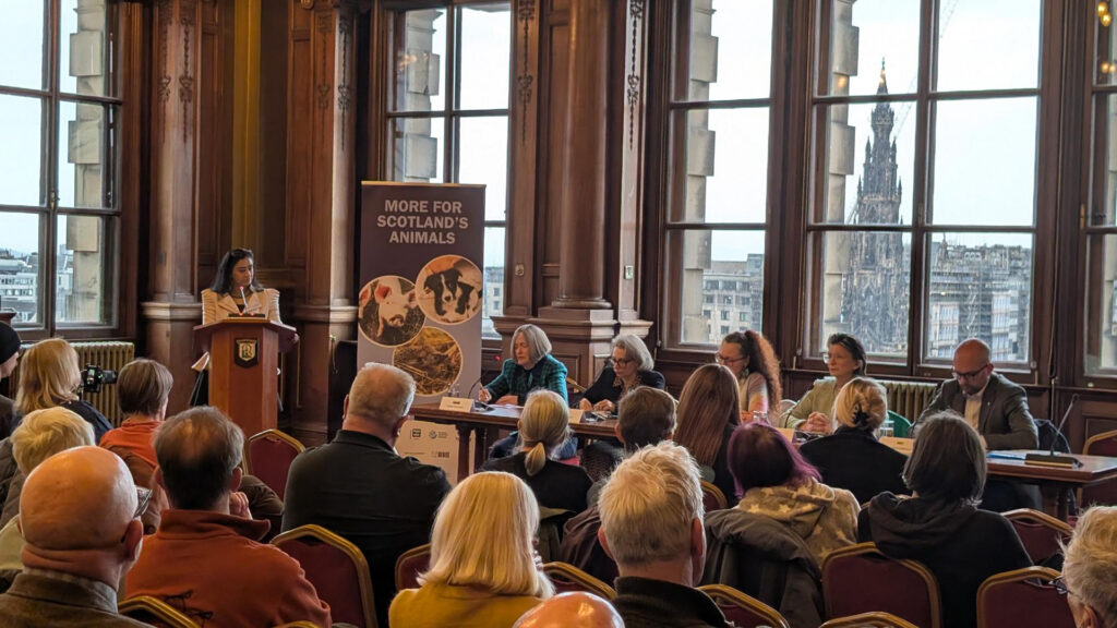 A room full of people seated, facing a panel of five people at the front of the room