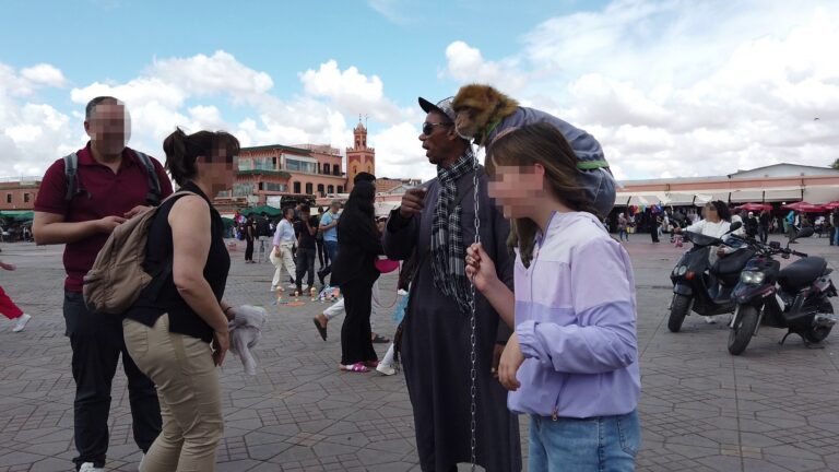 JEMAA EL-FNA SQUARE GALLERY 2025