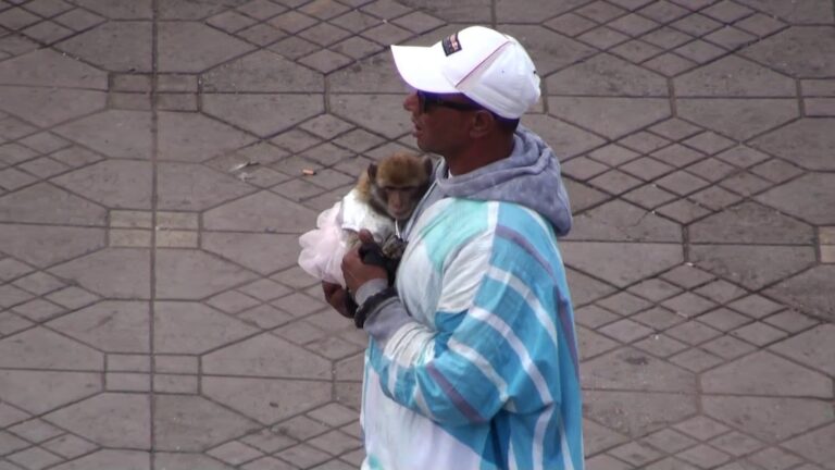 JEMAA EL-FNA SQUARE GALLERY 2025