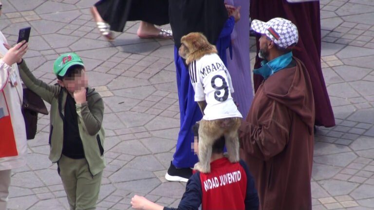 JEMAA EL-FNA SQUARE GALLERY 2025