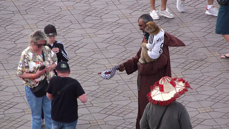 JEMAA EL-FNA SQUARE GALLERY 2025