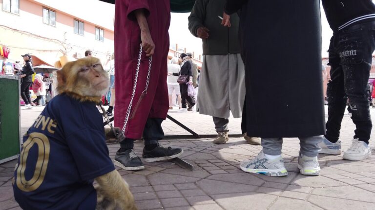 JEMAA EL-FNA SQUARE GALLERY 2025