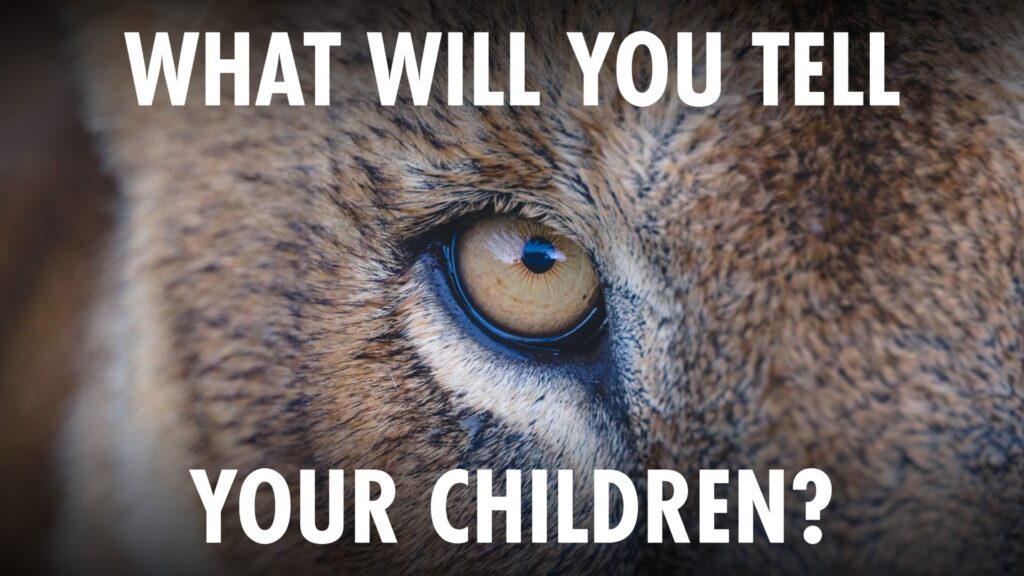 Photograph showing a close-up of a lion's eye with text overlay reading "WHAT WILL YOU TELL YOUR CHILDREN?" The image evokes a message about wildlife conservation or legacy, highlighting the cheetah's detailed fur and intense gaze to emphasize urgency and emotional impact.