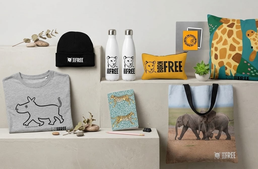 A photo of multiple Born Free branded items including a t-shirt, water bottle, notebook, tote bag, pencil case and cushion