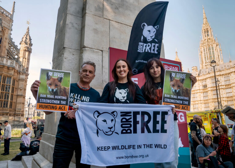 IMAGES FROM THE RALLY