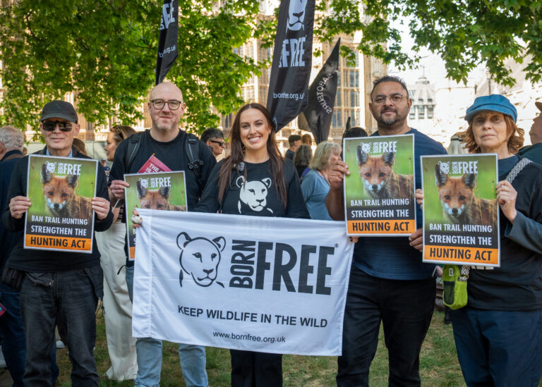 IMAGES FROM THE RALLY