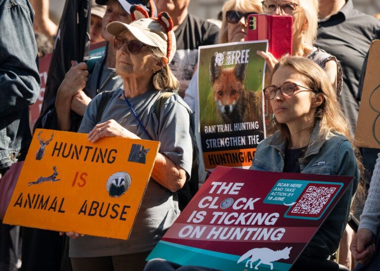 IMAGES FROM THE RALLY