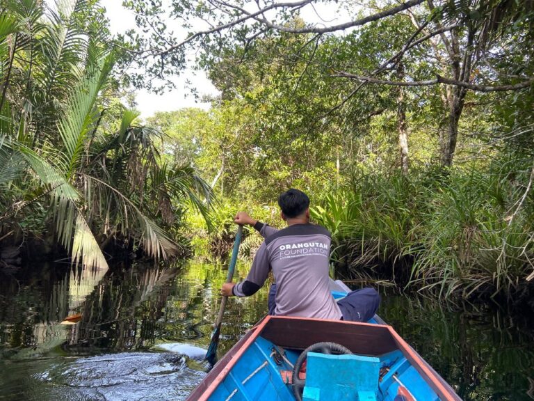 PROTECTING FORESTS: SEE THE TEAM IN ACTION
