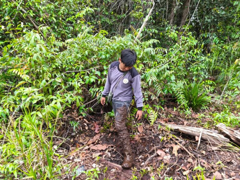 PROTECTING FORESTS: SEE THE TEAM IN ACTION