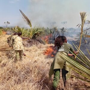 A group of people extinguishing a fire in the bush