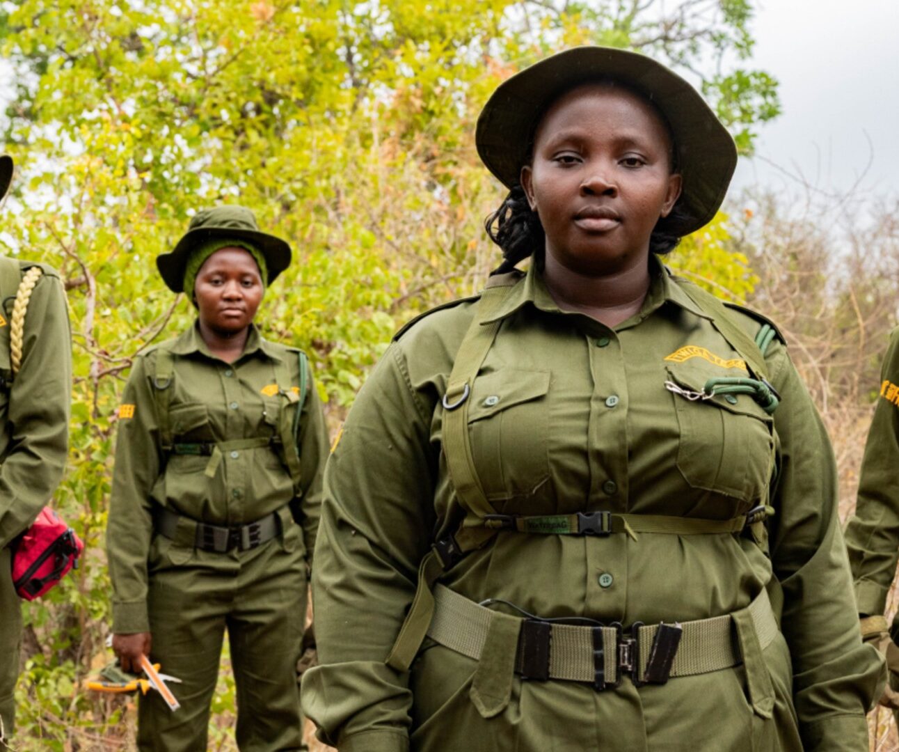 Photograph of four wildlife rangers standing in a dry, wooded area wearing green uniforms and hats, with some carrying radios and gloves. The group appears focused and ready, highlighting efforts in wildlife protection and conservation.