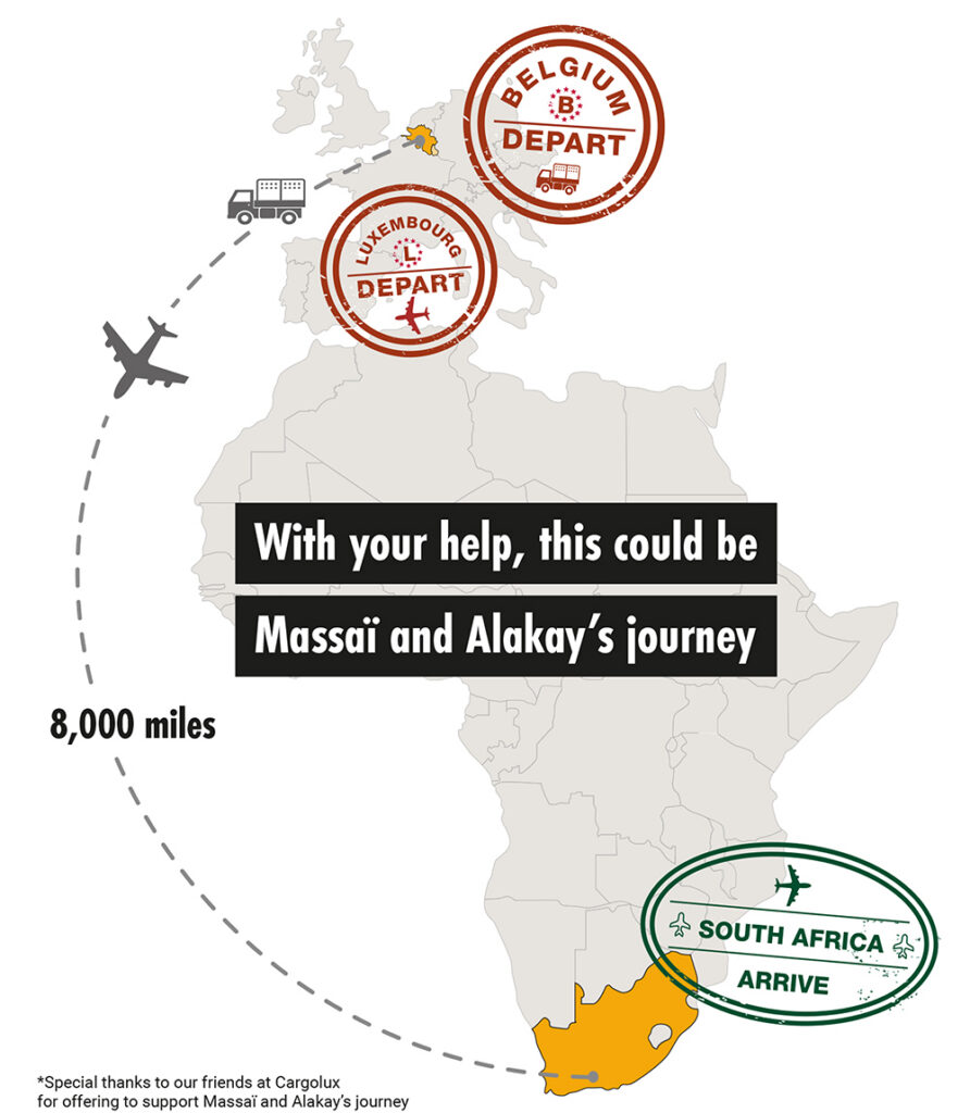 A map of Europe and Africa with graphics indicating the path of Massai and Alekay's journey