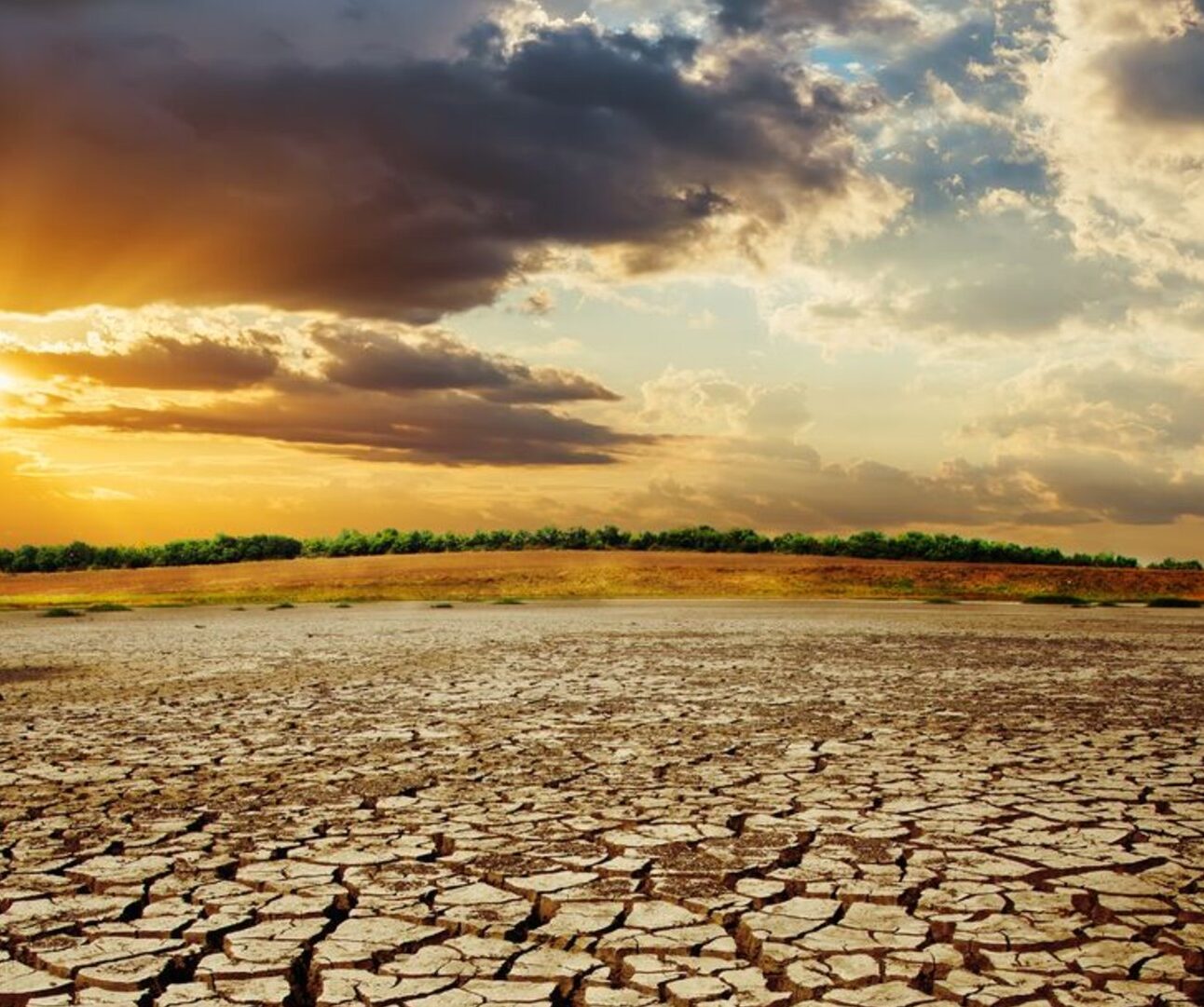 Photograph of a cracked, dry landscape under a dramatic sky with scattered clouds and sunlight breaking through. The scene highlights drought conditions with parched earth stretching toward a distant green tree line on the horizon.