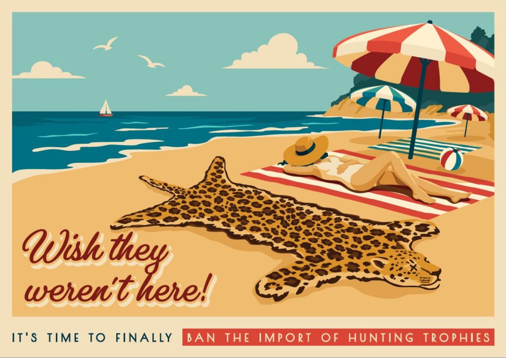 Wish they weren't here leopard skin postcard