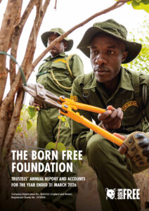 Two men in green ranger uniforms are looking at a wire snare. Text reads 'The Born Free Foundation Trustees Annual Report and Accounts for the year ending March 31 2026'