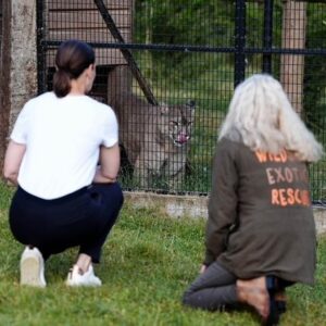 Kirsty Gallacher and Lindsay McKenna crouch in front of a cage housing a mountain lion