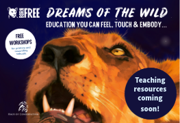 A promotional image for 'Dreams of the Wild' featuring an illustrated lion gazing up at the sky.
