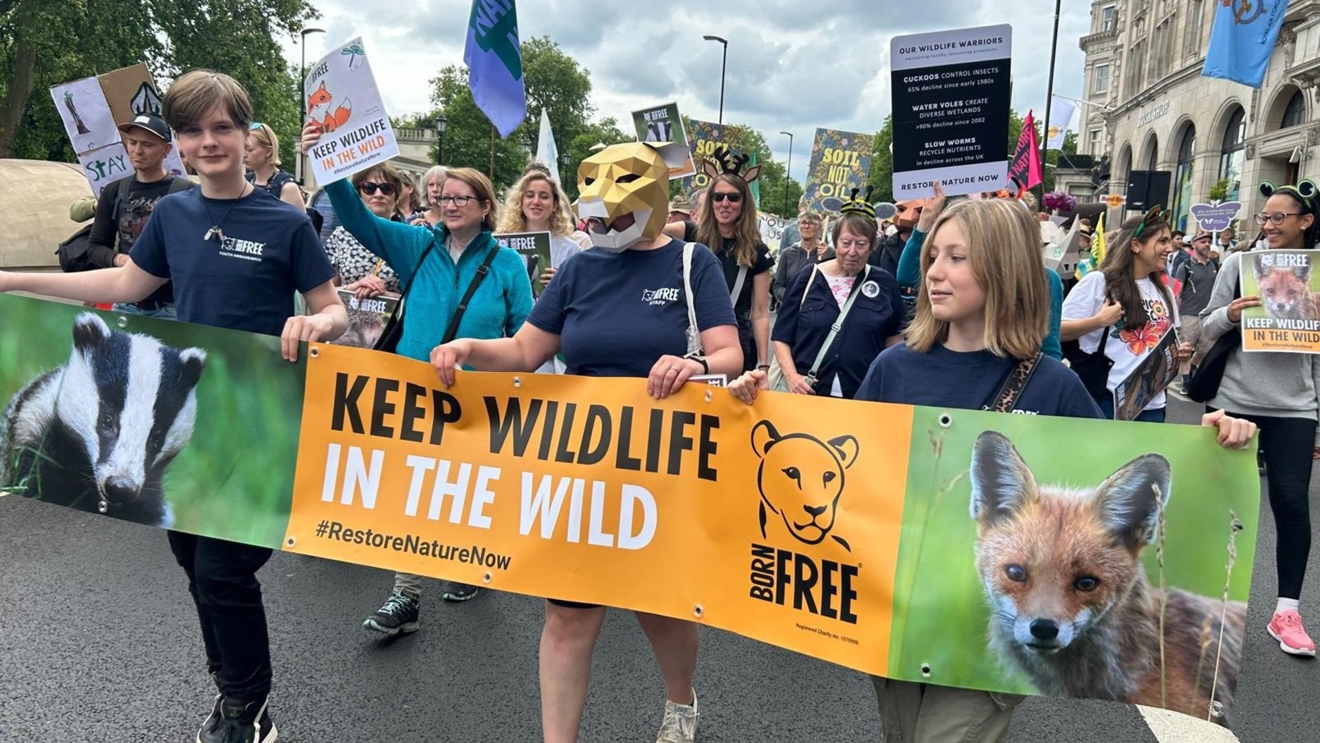 A group of people protesting for nature protection, at a rally